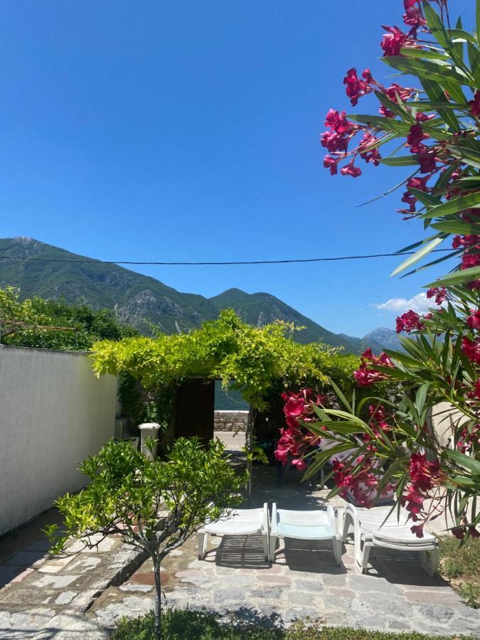 Mansarda Apartment Kotor Extérieur photo